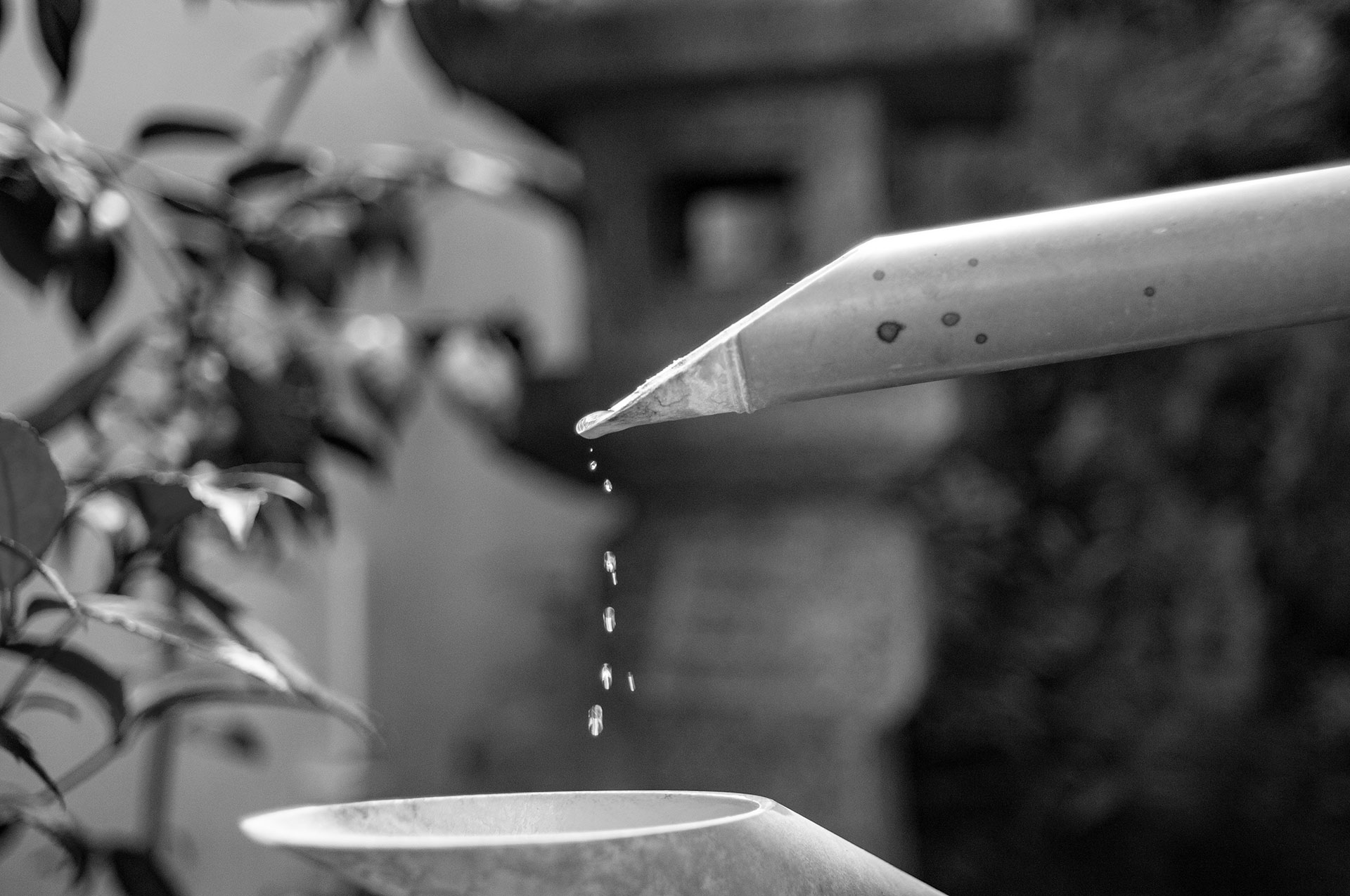 鹿威し00 そばと豆腐の店 国分寺そば